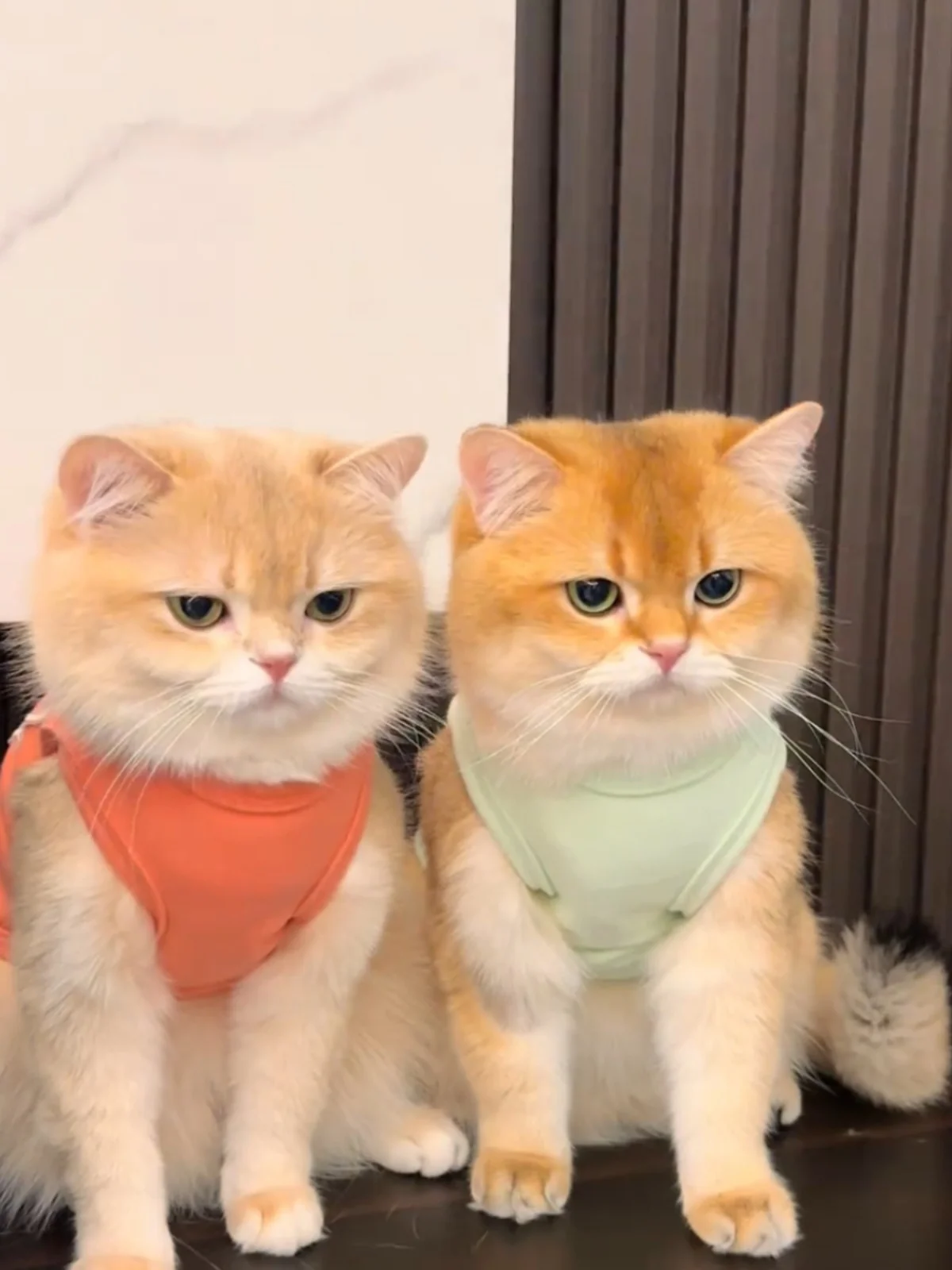 Chinese Sle Embroid…