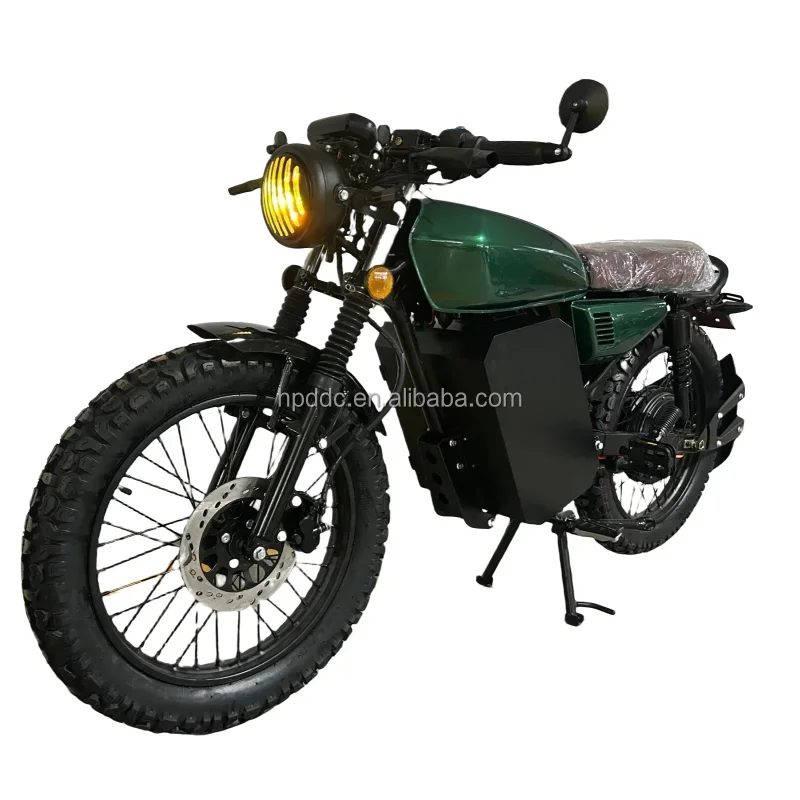 Vintage Style 30AH/40AH/50AH/60AH/78AH Battery Options Electric Bike Motorcycle Max Speed 100KM/H Hot in Sale