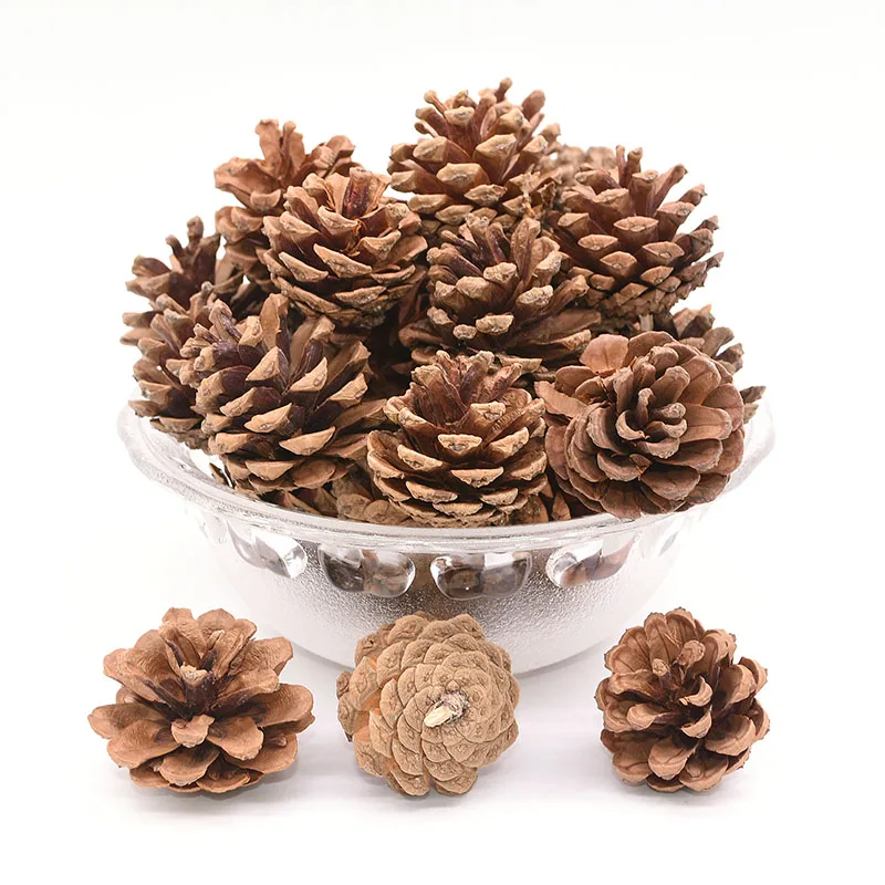 10pcs Simulation Pine Cone Natural Artificial Pinecone DIY Simulate Pinecone Festival Mini Decorative Christmas Home Decoration