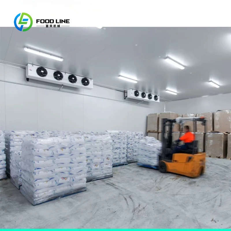 Customized Industrial Negative Temp Storage - Stainless Steel Refrigerated Room for Deep Freeze