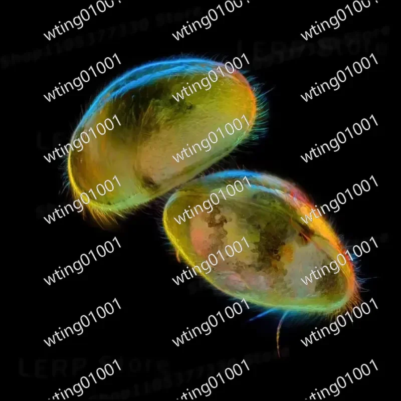 for High CRI LED Ring Light with 5X 10X Color Contrast Filters Darkfield Macro Flash for Translucent Subjects Photography