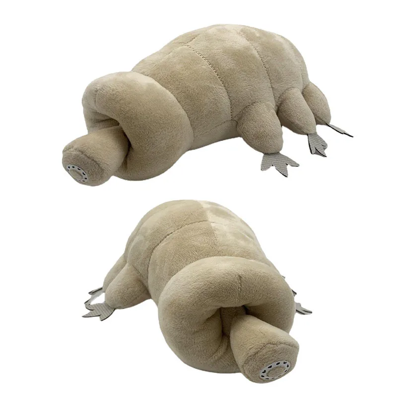 25cm bonito tardigrade brinquedo de pelúcia macio brinquedo de pelúcia adorável urso de água inseto boneca crianças brinquedo educativo quente meninos presente aniversário