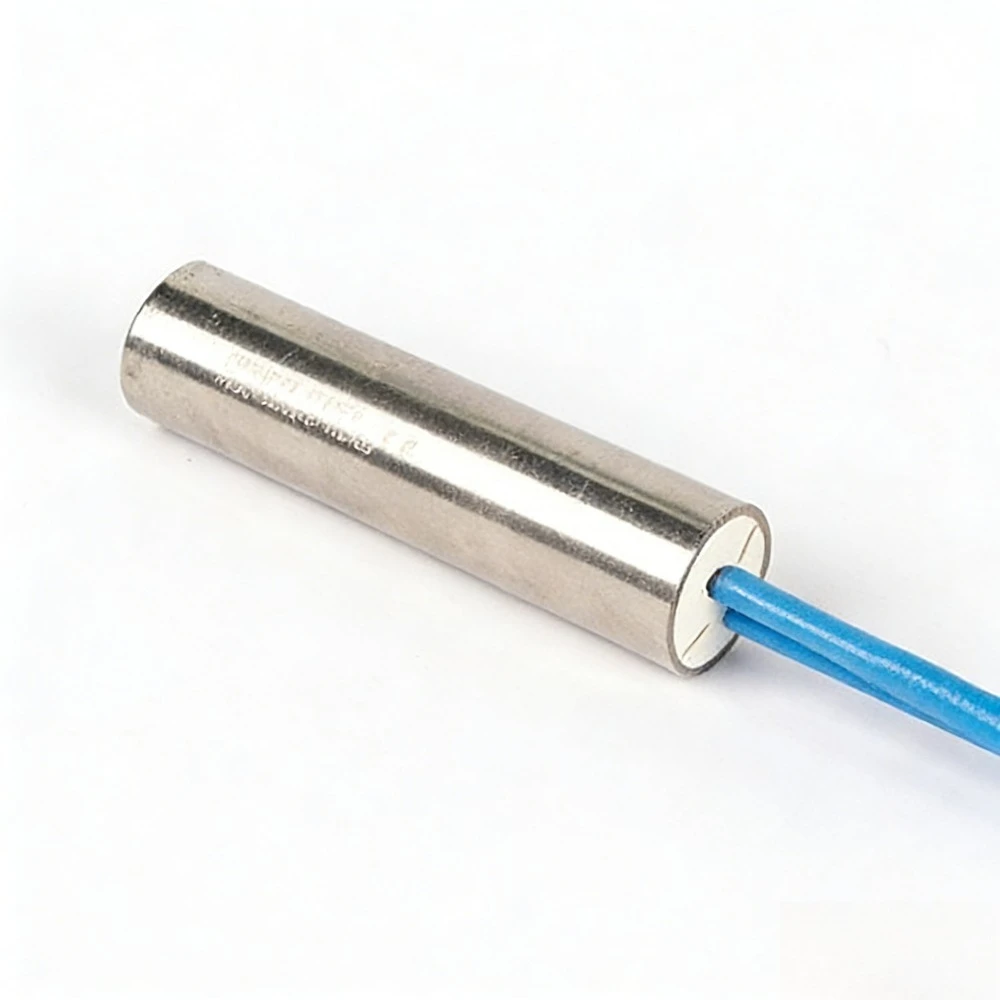 

Low Voltage DC Heating Element 12V 24V 48V Stainless Steel Heater Rod for Battery Powered Equipment & Liquid Heating