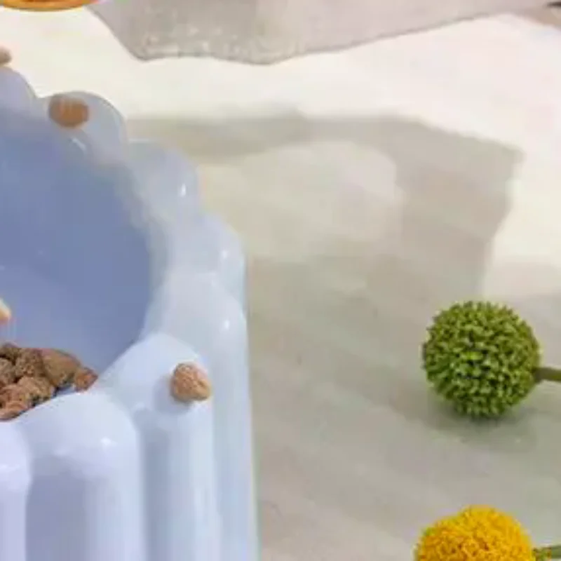 Bol incliné pour animaux de compagnie avec base antidérapante, bord en dentelle, rayures verticales, design surélevé, bol d'alimentation pour animaux de compagnie
