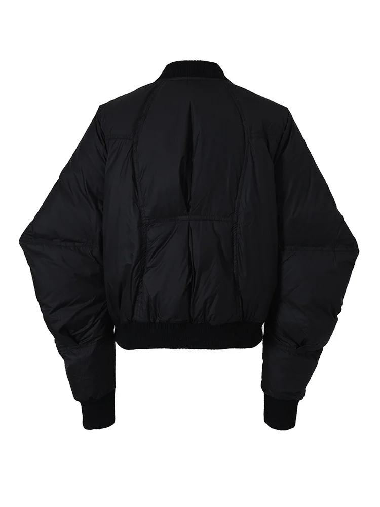 [EAM] Black Shaped Big Size Down Jacket New Stand Collar Long Sleeve Warm Women Parkas Fashion Tide Spring Autumn 2024 1H29101