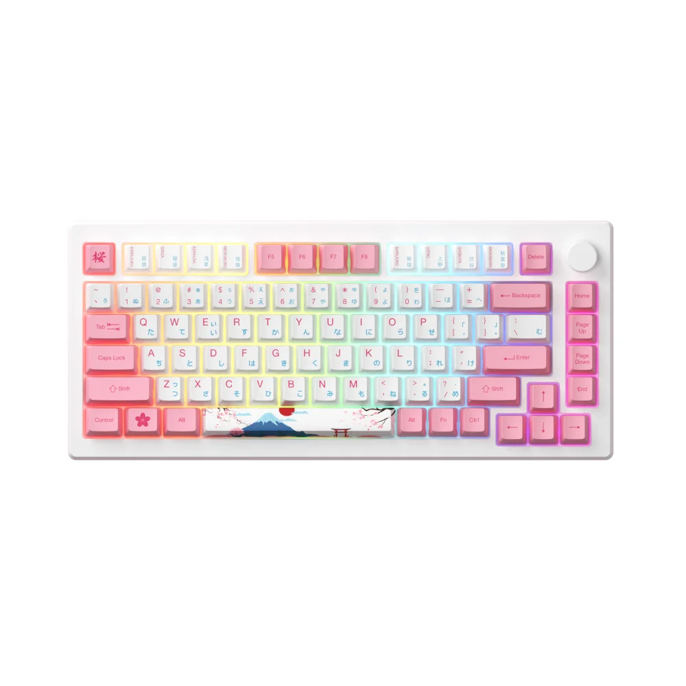 

Akko MOD007B HE Santorini 75% 82 Keys Rapid Trigger Mechanical Keyboard Hot Swap Magnetic-Switch RGB Tri-Mode Gaming Keyboard