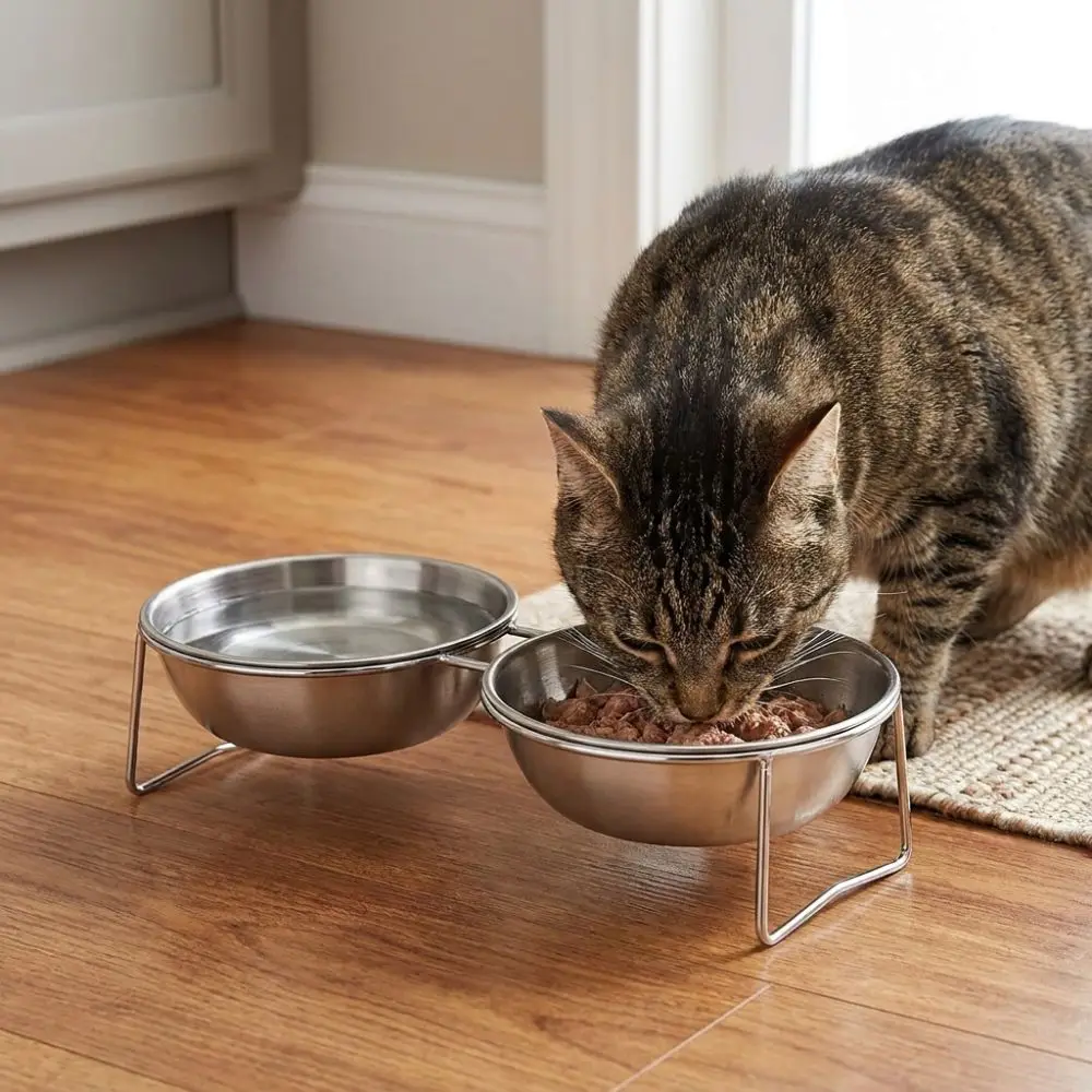 Large Capacity Stainless Steel Cat Bowl Neck Protection Rust Proof Elevated Pet Food Bowl Nonslip Anti-Tipping Dog Food Bowl
