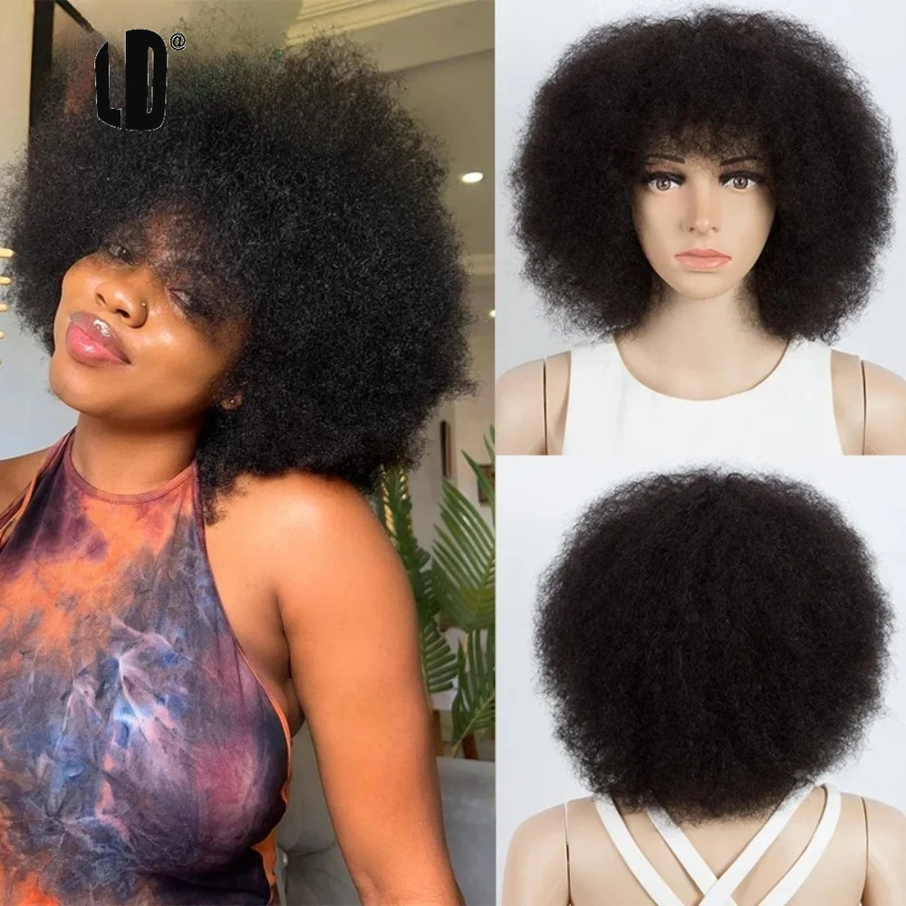 Lolely Dream Human Hair Afro Kinky Curly Pixie Wig for Black Women | 8 Inch Fluffy Natural Style, Machine Made Easy Install