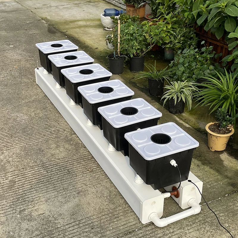 Dutch Bucket Hydroponic System - Hydroponic System 评论和价格