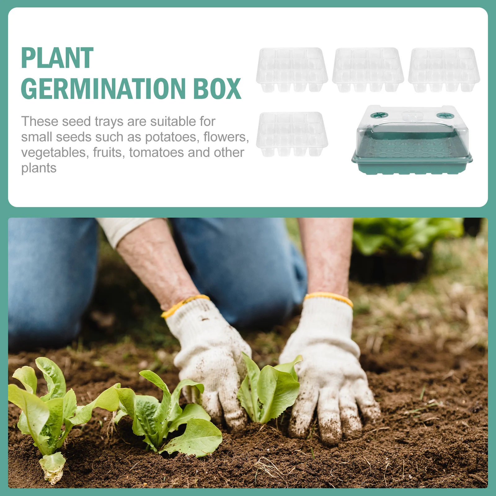 

1 set Planting Germination Containers Sowing Tray For Vegetables Flowers Tomatoes Garden Nursery Pot Greenhouse Growing Case