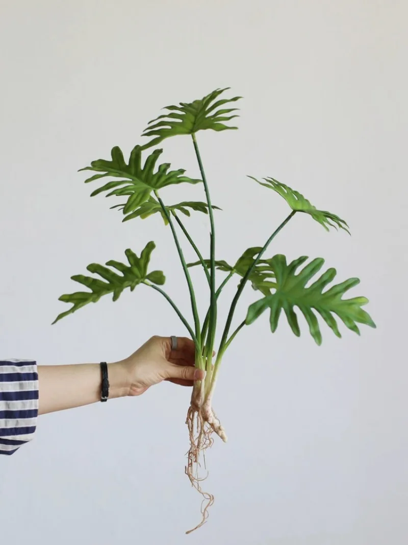 写真アクセサリー,緑の葉,シミュレーション,家の装飾