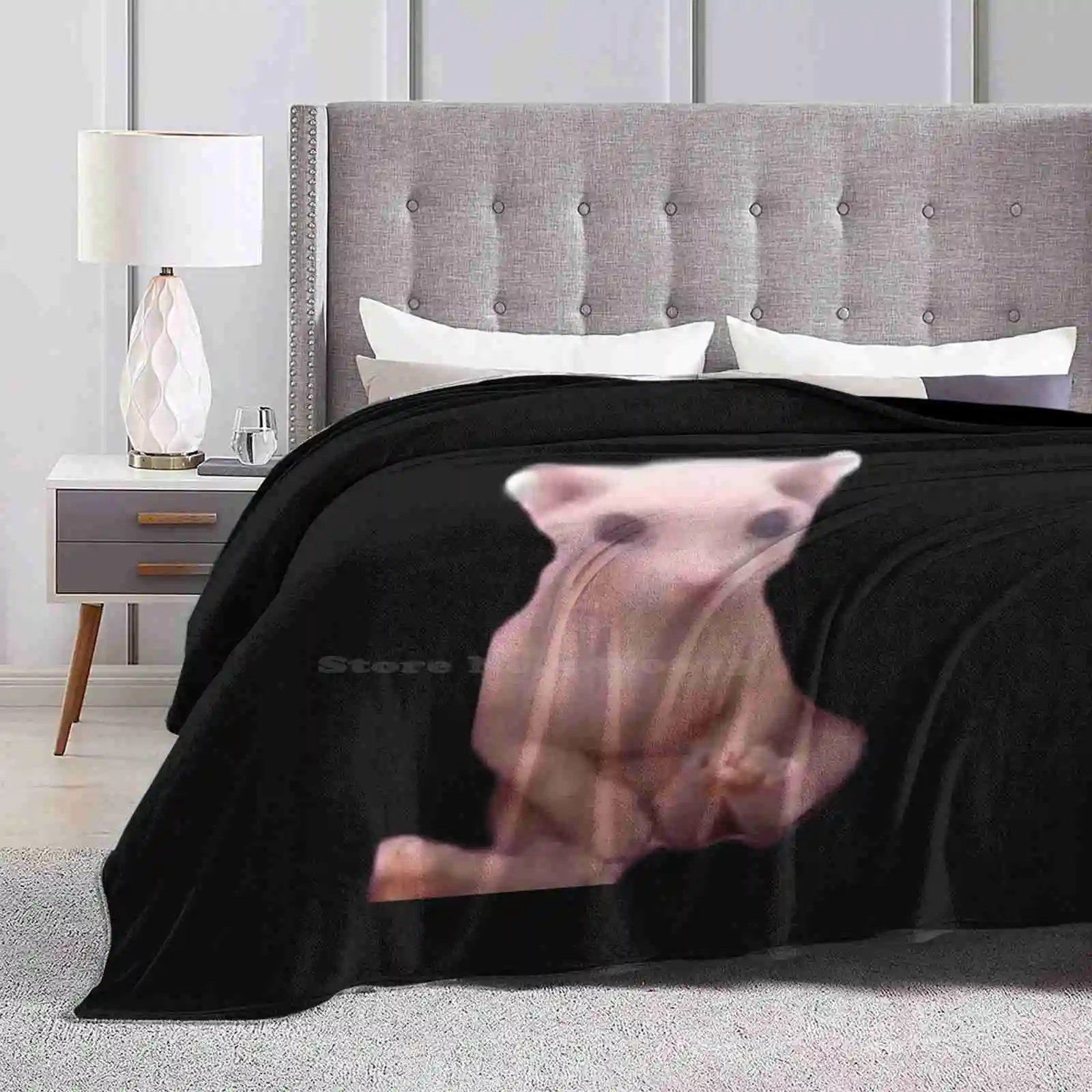 Bingus Creative Design Light Thin Soft Flannel Blanket Bingus Meme Hairless Cat Meme Funny Cat