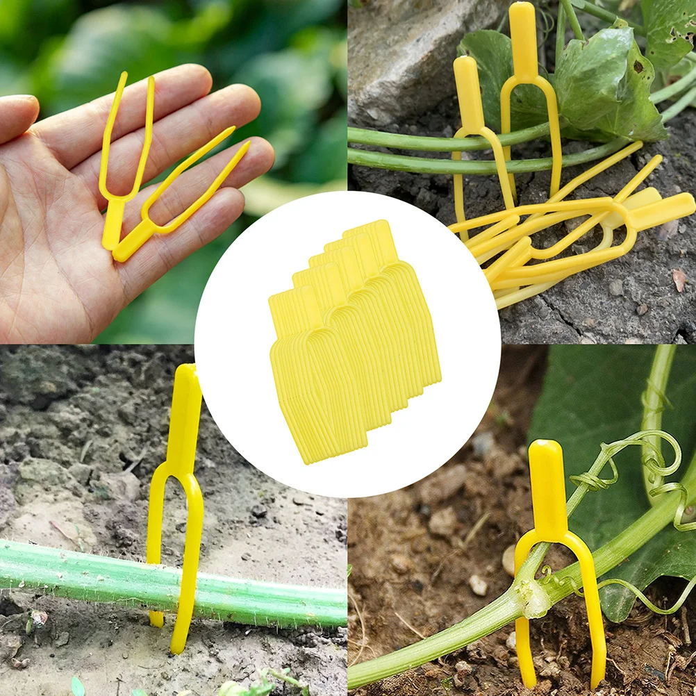

100 pcs Plant Support Clips PP Material Durable Reusable Vine Fixing Tool for Watermelon Strawberry Stolon Holder