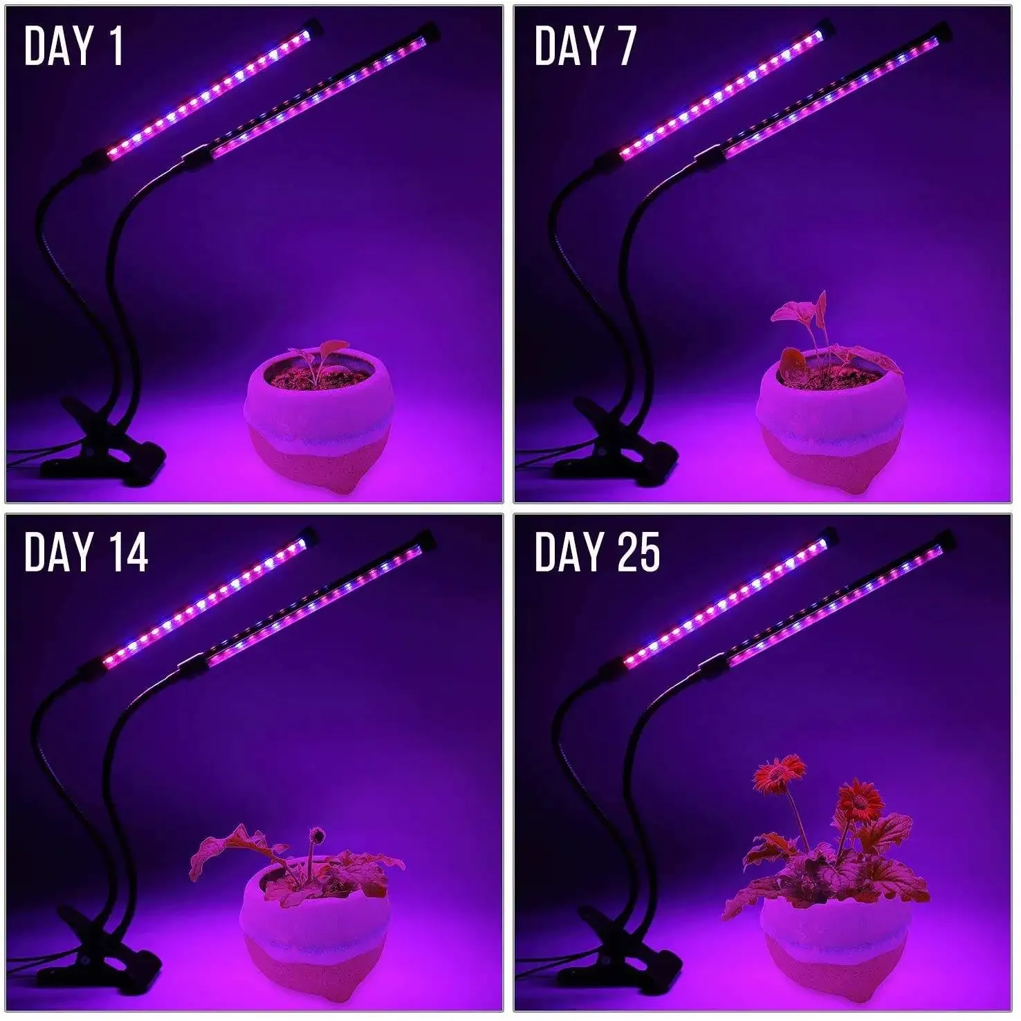 LED Plant Grow Light Indoor Garden 10 Dimmable Levels Grow Light Full Spectrum Timer Setting Hydroponic Greenhouse 3H/9H/12H