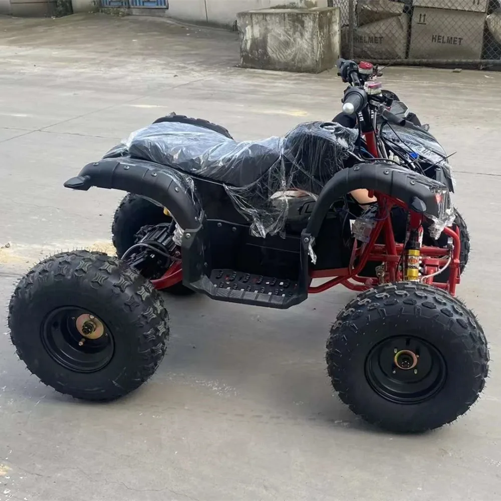 Electric Atv 60v 2000w 4x2 with Differential Brushless Motor Shaft Drive 4 Wheel Electric Motorcycle Electric Atv Hydraulic Disc