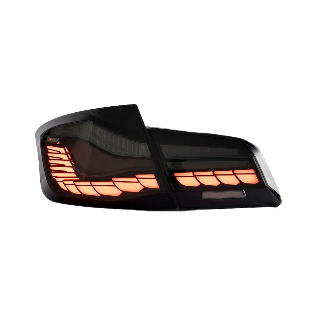 For BMW 5 Series F10 F18 525i 530i 535i 2010-2017 LED Car Taillights Assembly Upgrade Dragon Scale Taillight Tools Accessories
