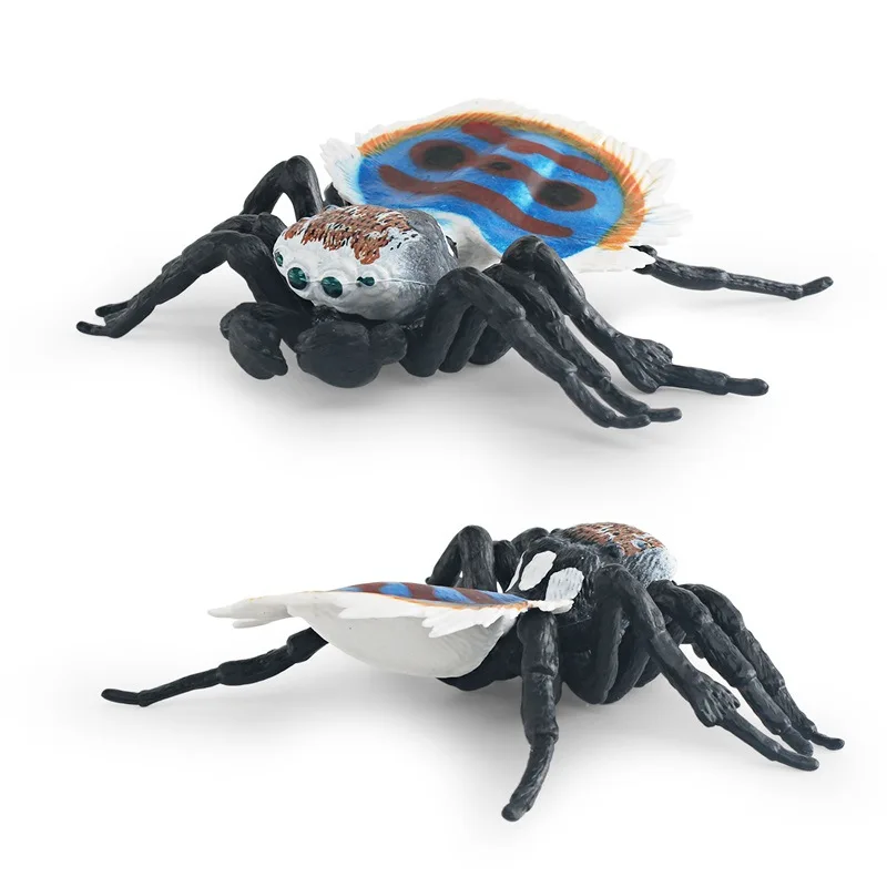 Modelo de réptil cognitivo para educação infantil, conjunto divertido de aranha pavão vermelho e azul, ornamentos decorativos feitos à mão, presente para brinquedos infantis