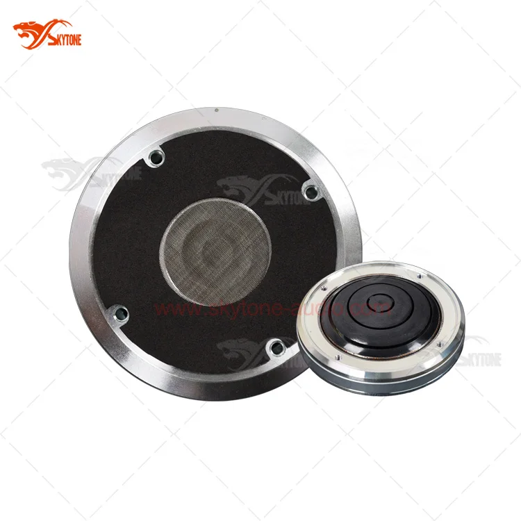 2431H Neodymium 3 Inch Speaker Driver Neodymium Tweeter