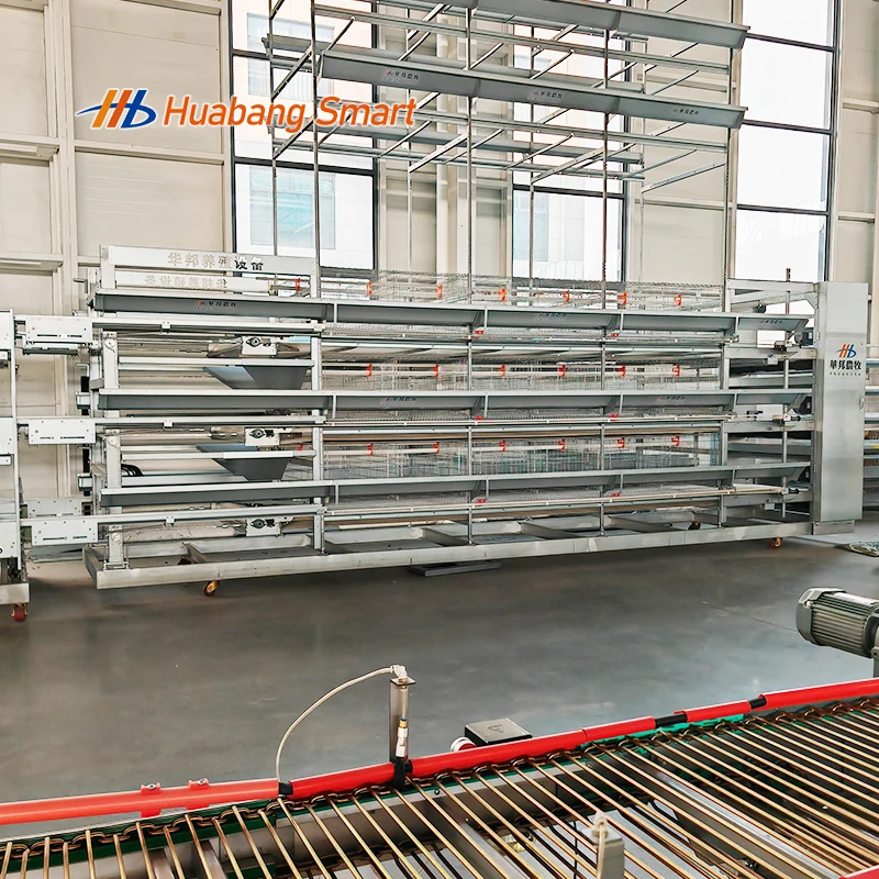 

Высокопрочная, устойчивая к ржавчине клетка для кур типа H для автоматизированного птичника