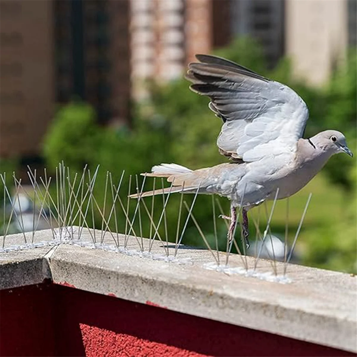 Juego de clavos para valla antiaves, pinchos repelentes de aves, repelente de aves para balcón, pinchos para evitar escalada, 12 piezas