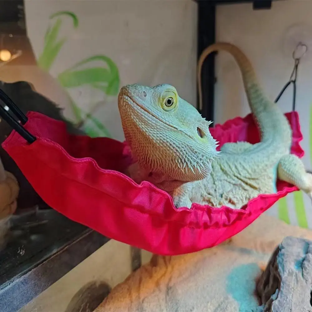 

Decorative Reptile Hammock Oxford with Suction Cups Lizard Swing Toy Cotton Lizard Hanging Bed For Snakes Geckos Hamster Lizard