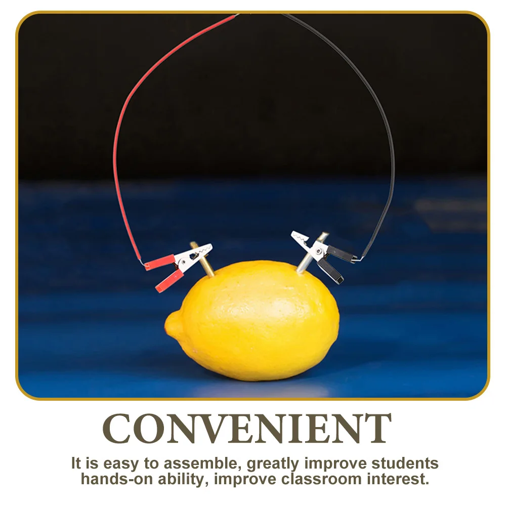2 sets Fruit Experiment Kit Batterijen Diy Science Kits Suite Klok Maken Metaal Experimentele Student Natuurkunde Onderwijs