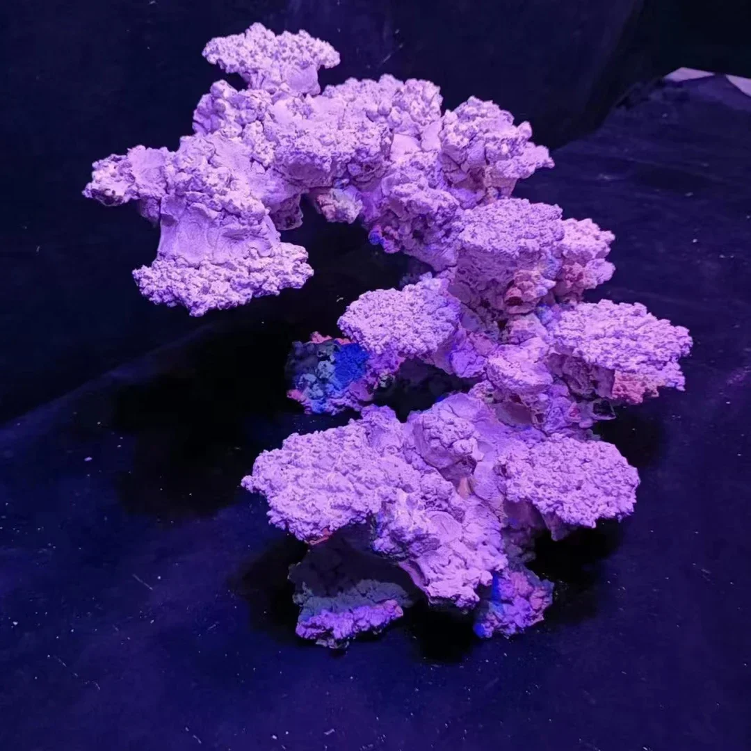 Custom Made 60cm Fish Tank Aquarium Decoration Aquascaping Stone Rock For Sale - Image 4