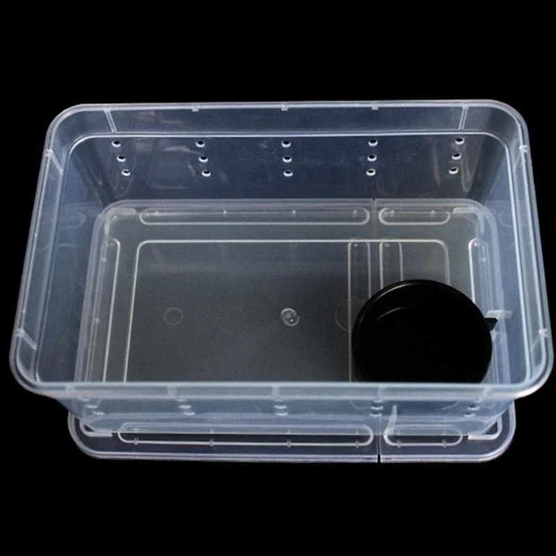 Snake Feeding Box Breeding Hatching Container Tarantula Habitat