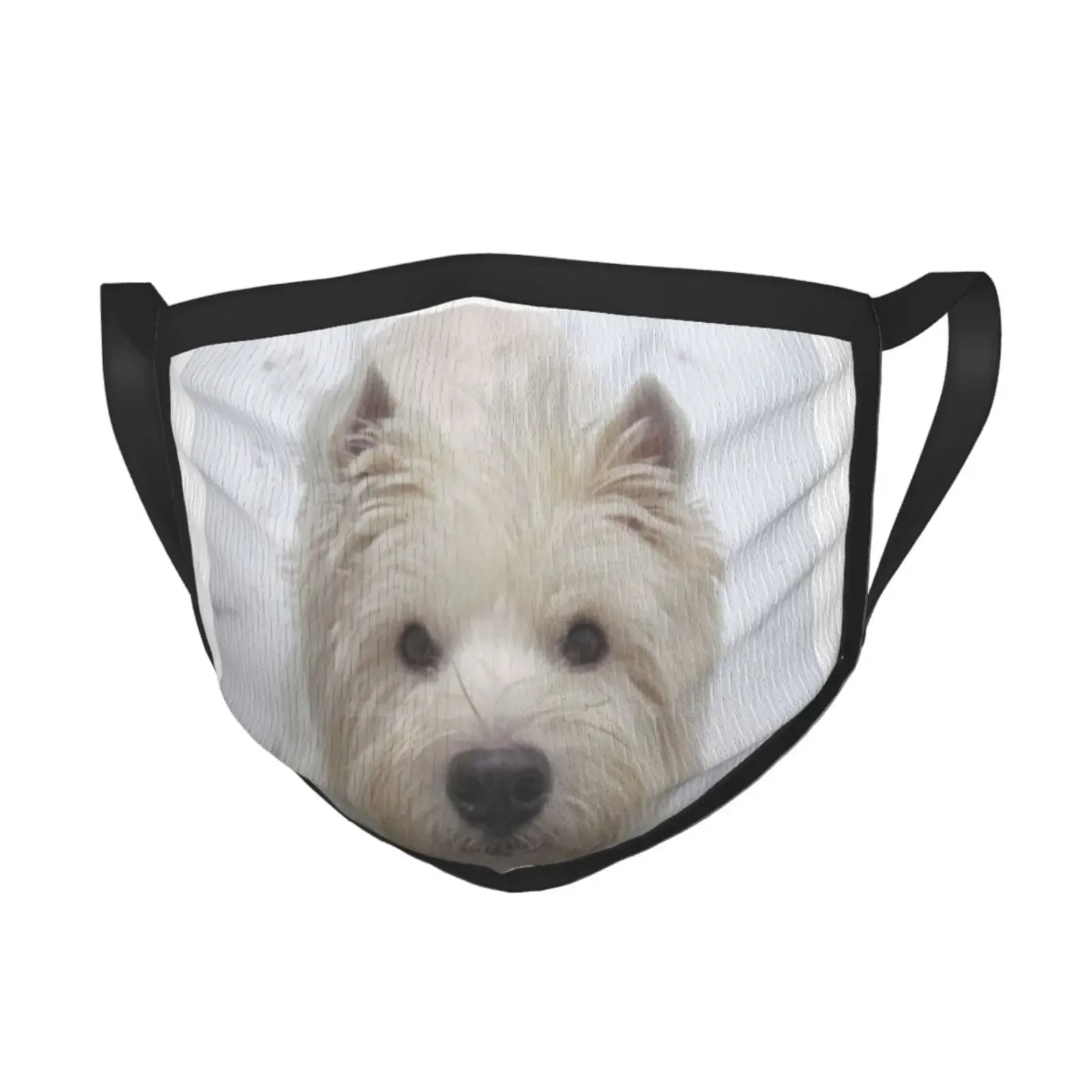 Westie-gorro de punto blanco cálido para exteriores, gorros para Perros West Highland, White Terrier, Westie, CNET, Animal para mascotas, Escocia