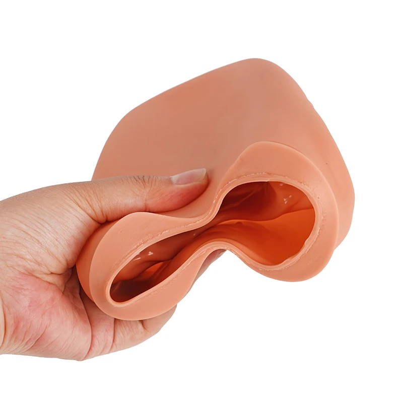 Thumbnail 4 - #25 Dental Teaching Models List of Top Picks