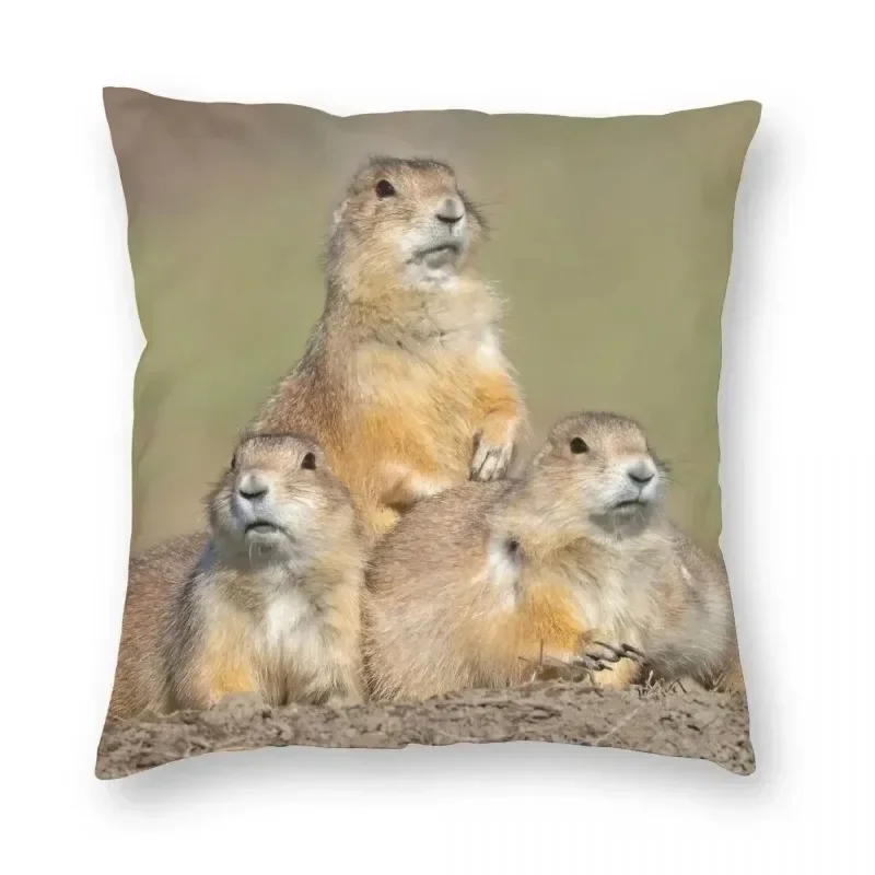 

Funda de almohada cuadrada de tres perros de la pradera, de poliéster, decoración creativa con cremallera, funda de cojín para