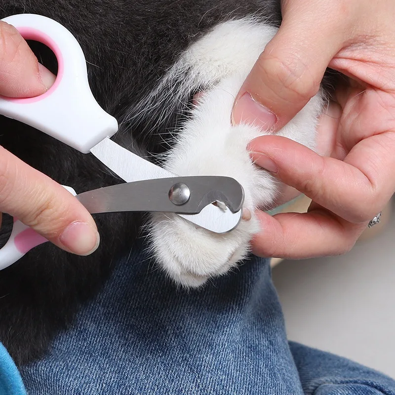 Pet Nail Care Scissors Pet Nail Scissors Rabbit Guinea Pig Cat Toe Claw Dog Trimmer Nail Cutter Nails Clipper Stainless Steel
