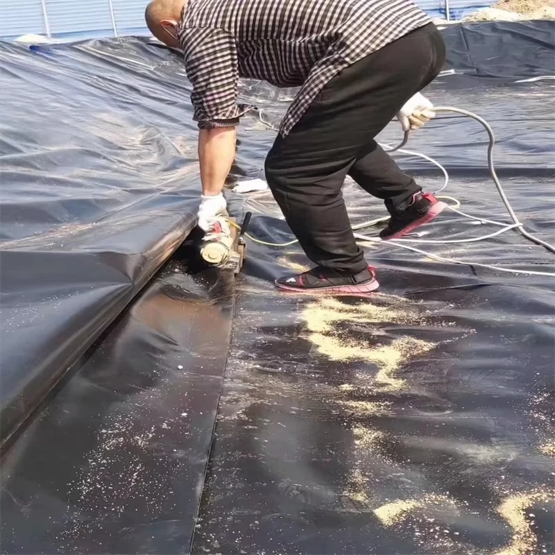 Professional HDPE Geomembrane Waterproof Liner Customized for Fish Pond Dam Reservoir Landfill and Mining Use Projects