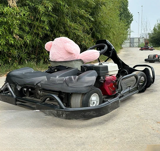 Kermisattractie Go Kart voor kinderen en volwassenen Andere pretparkproducten Kartritsen te koop