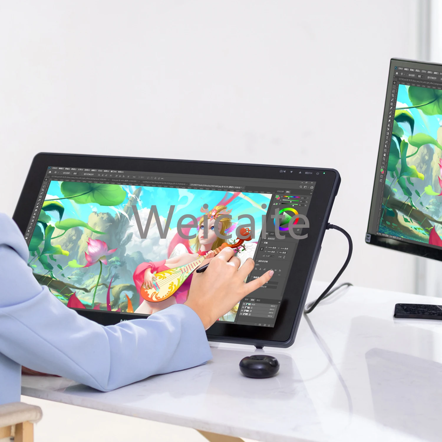 

21.5 Inch Animation Professional Digital Graphics Tablet Drawing