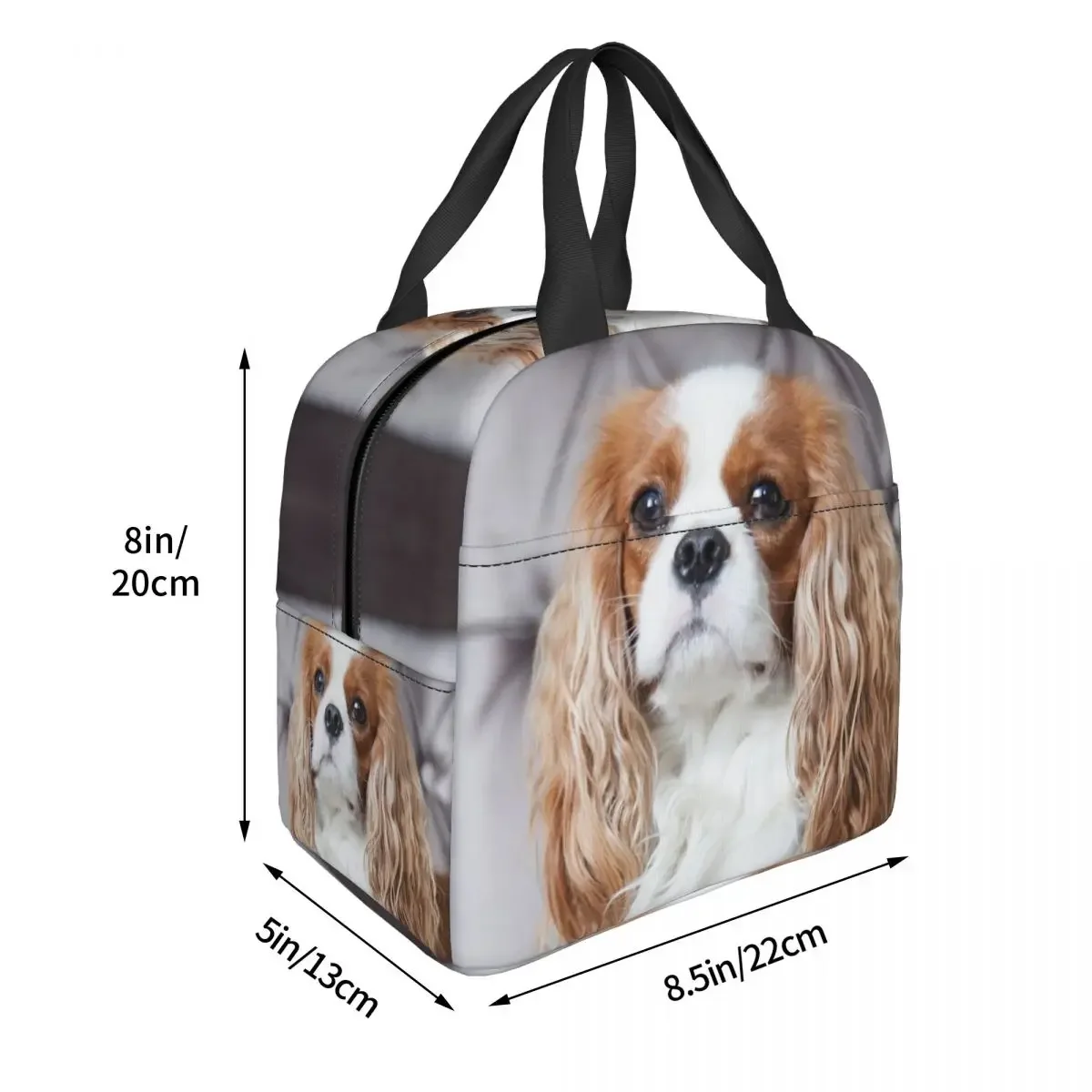 Custom Cavalier King Charles Spaniel Lunch Bag Women Cooler Thermal Insulated Lunch Box for Kids School Children