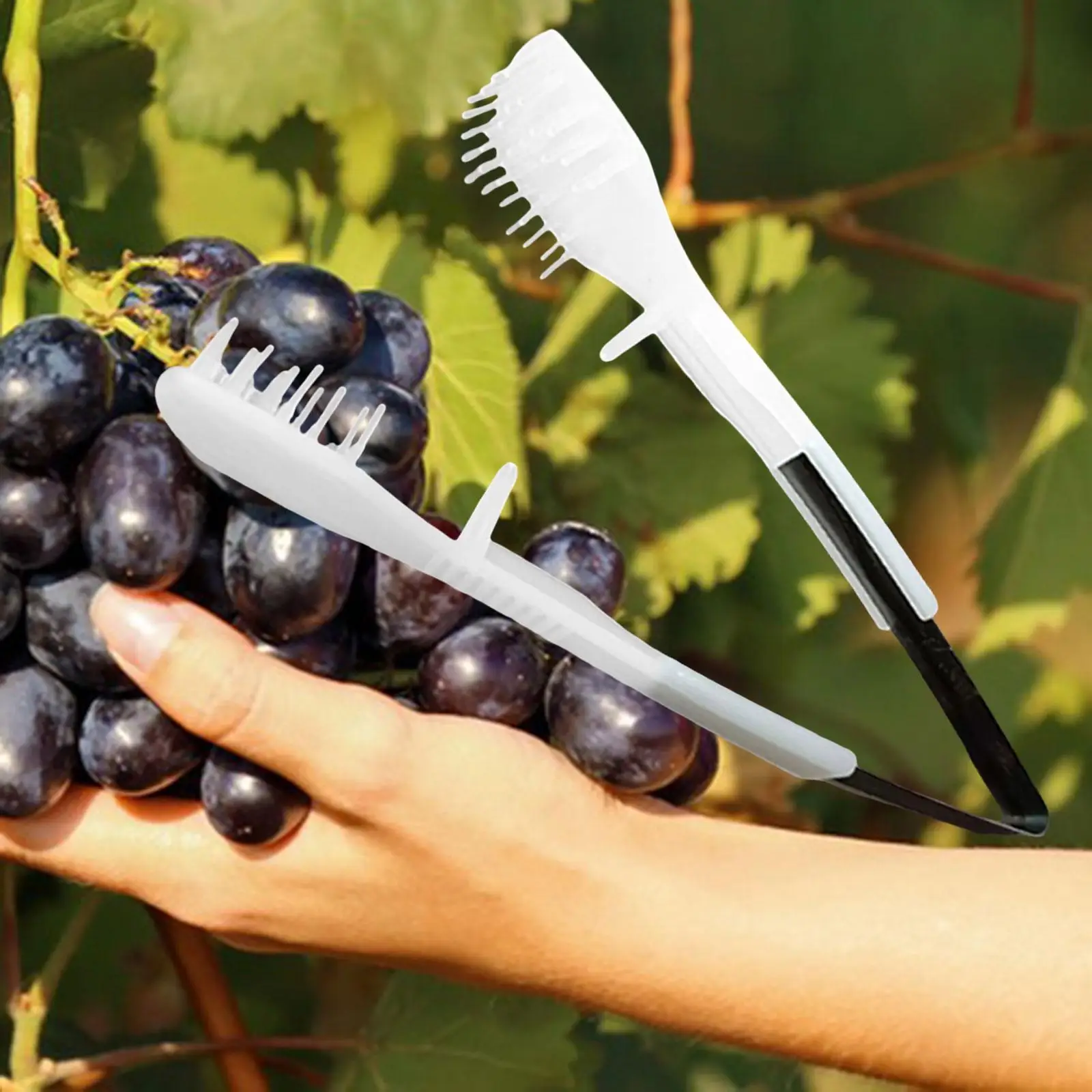 

Grape Bud Thinning Clip Fruit Thinning Tool Easy Use Professional Labor Saving