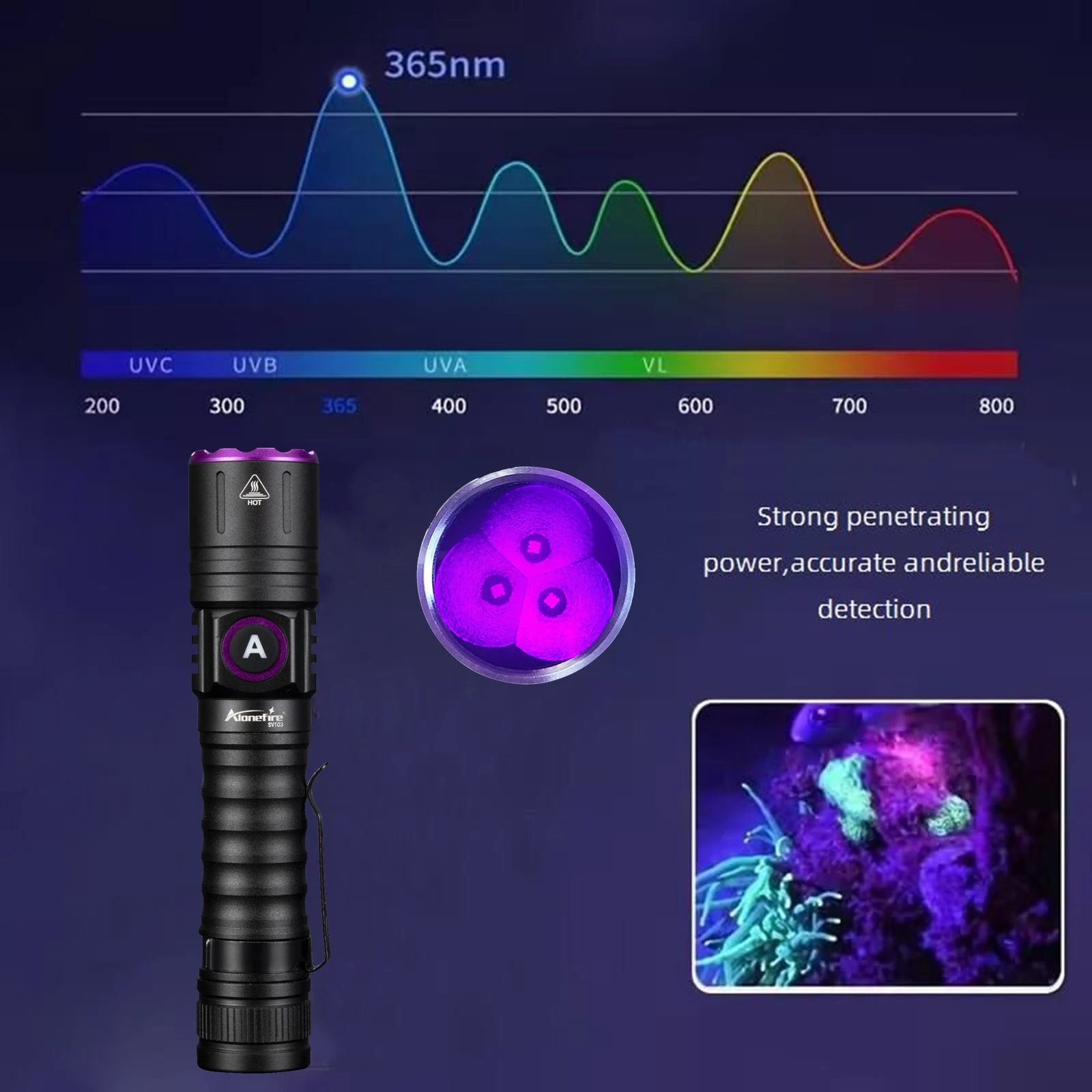 15W Hochleistungs-UV-Taschenlampe 395/365nm USB-Aufladbar für Katzen- und Hundeurin, Tinea, Erz, Geld, Skorpion, Fluoreszenzmarker, Violettes Licht – Detail 8