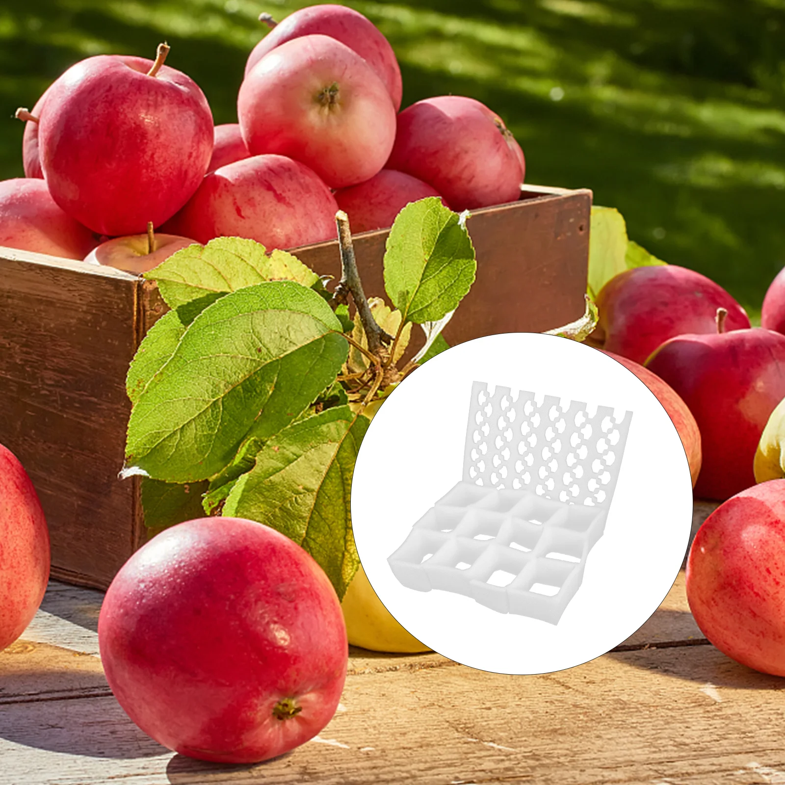 

Fruit Protective Cushion 3 Sets White Storage Transport Package Liner Thickened Pearl Wool Logistics Fruit Pad VegetableBruising