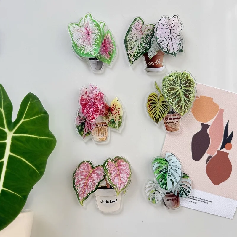Acrylic Fridge Magnet 6Pcs Rotatable Tropical Plant Anthurium Begonia Calathea Creative Kitchen Home Decor Refrigerator Magnets