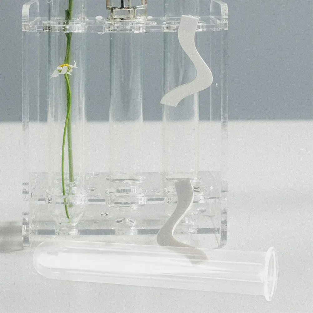 6Pcs Clear Glass Test Tube Vase for Plant Propagation Hydroponic Flower Arrangement Terrarium Roots Display Home Office Decor