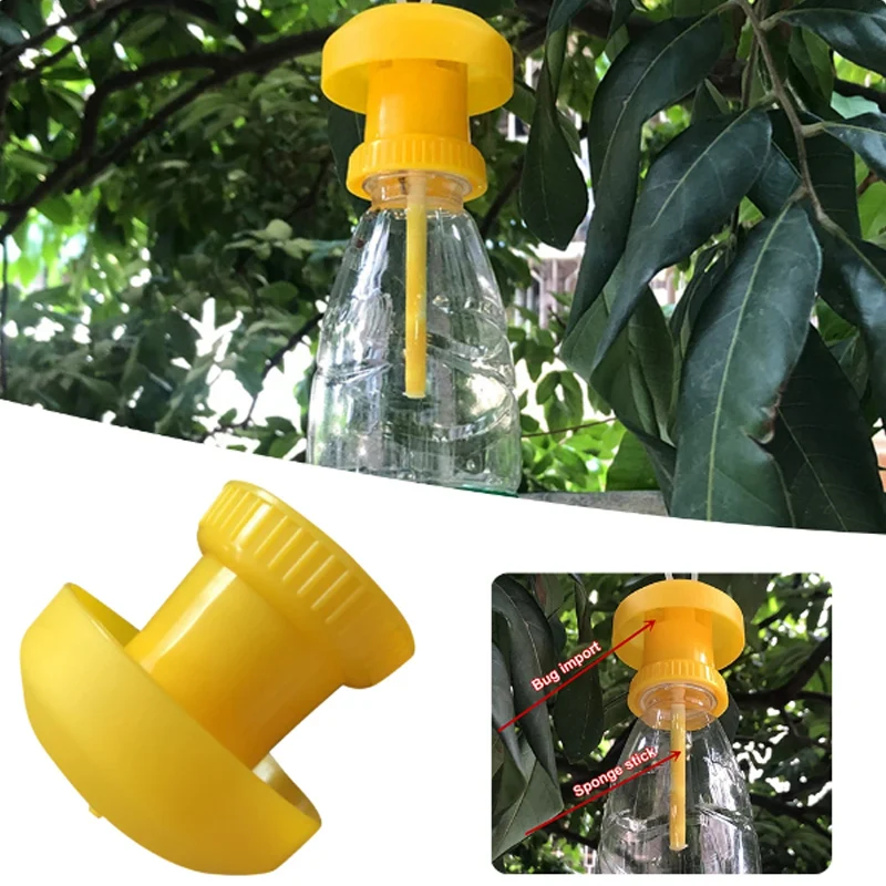 Fruit Fly Trap Killer Plastic Yellow Drosophila Trap Fly Catcher Pest Insect Control For Home Farm Orchard 6*6cm