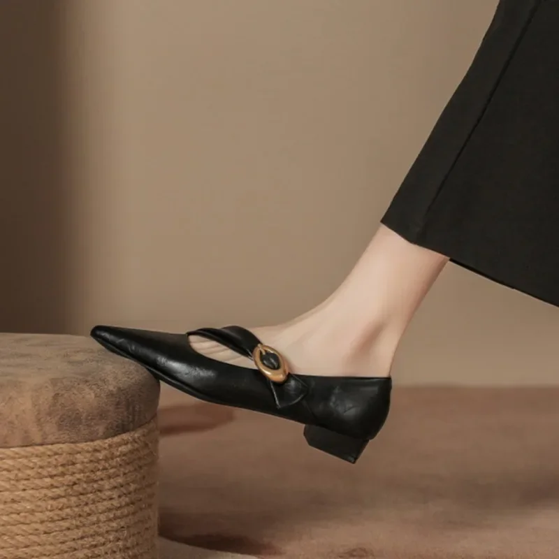 ファッションパーティードレスローヒールパンプスポインテッドトゥメリージェーンズレディースシューズ春秋女性ハイヒールバックルストラップ浅めシューズ