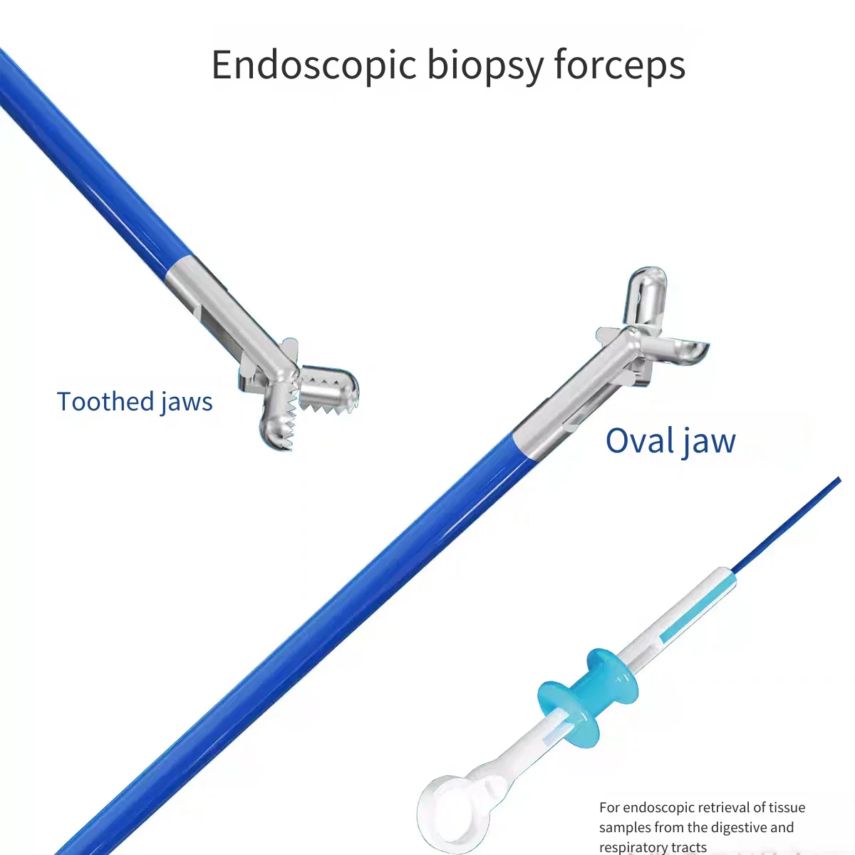 Disposable Endoscopic Sampling Forceps, Disposable Biopsy Sampling Forceps, Digestive Tract Biopsy, Endoscope Consumables