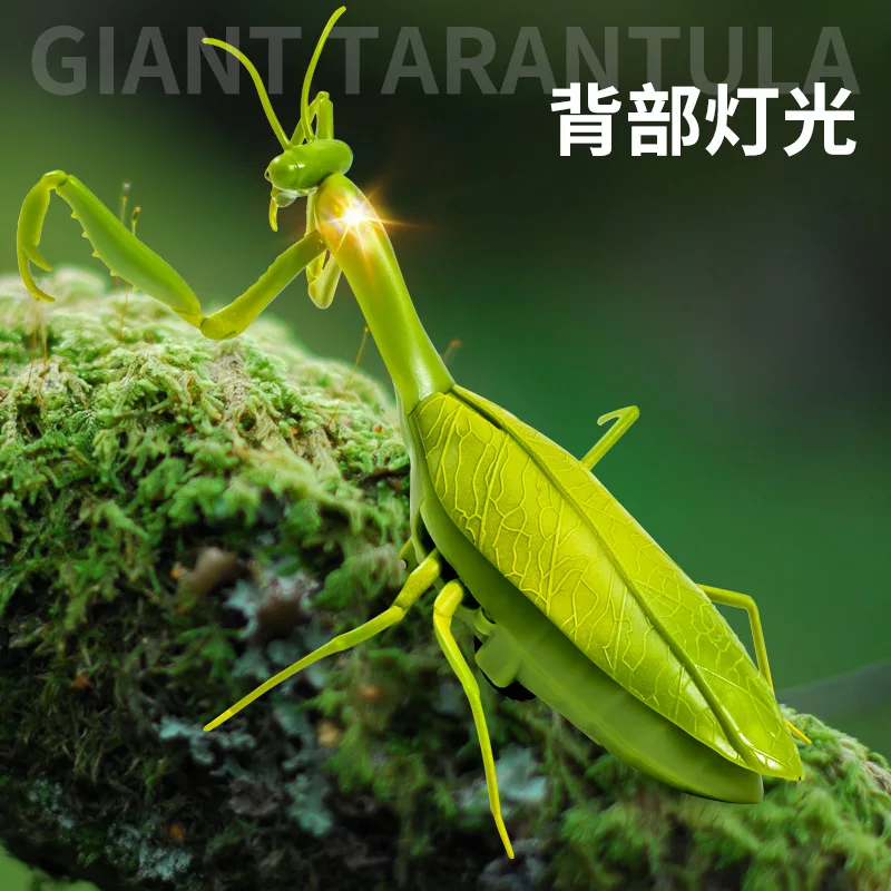 Jouet d'insecte de farce de mante de prière infrarouge de télécommande électrique simulée avec des lumières, cadeau de jouet drôle d'Halloween pour enfants, XT244