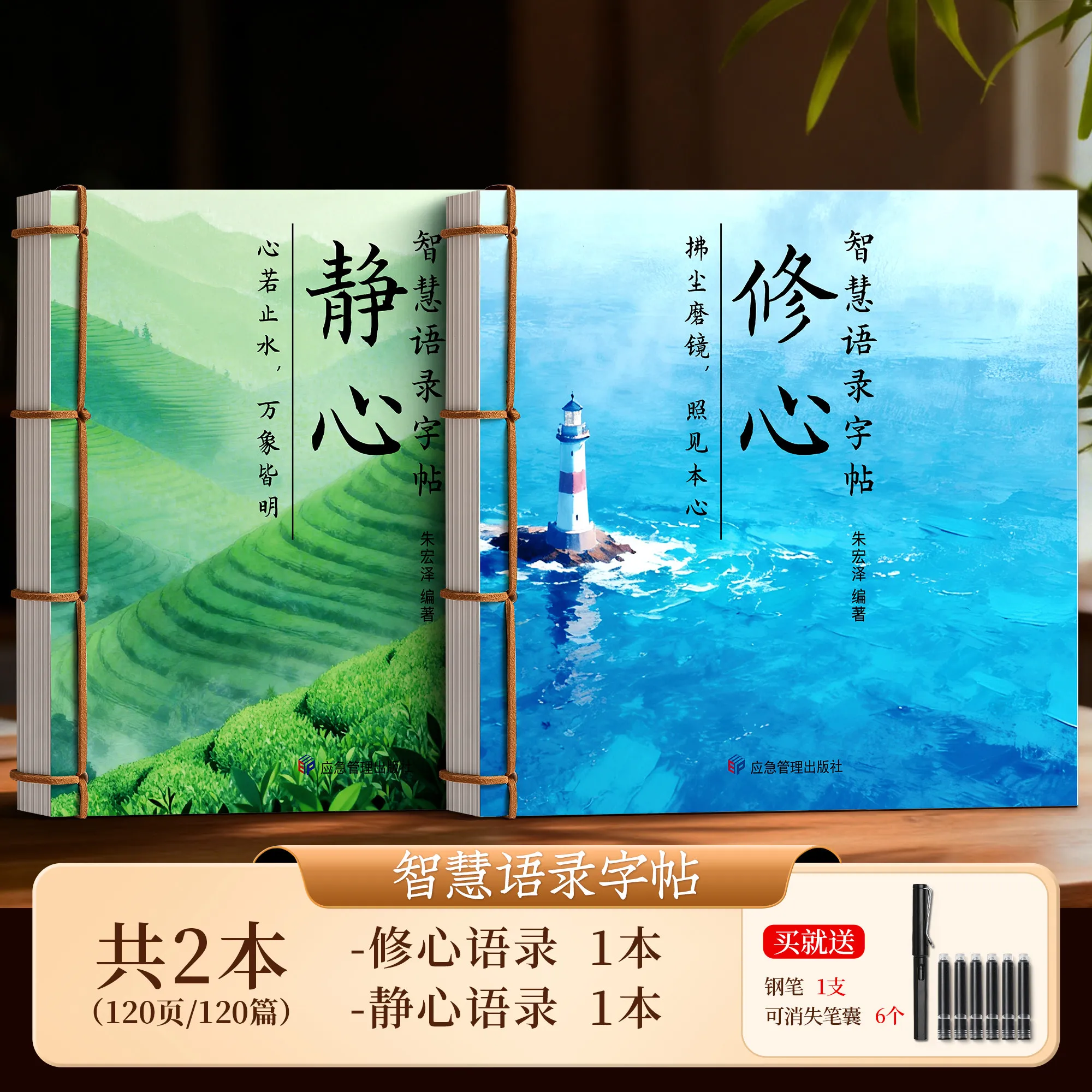 Variant: 2 BOOKS A