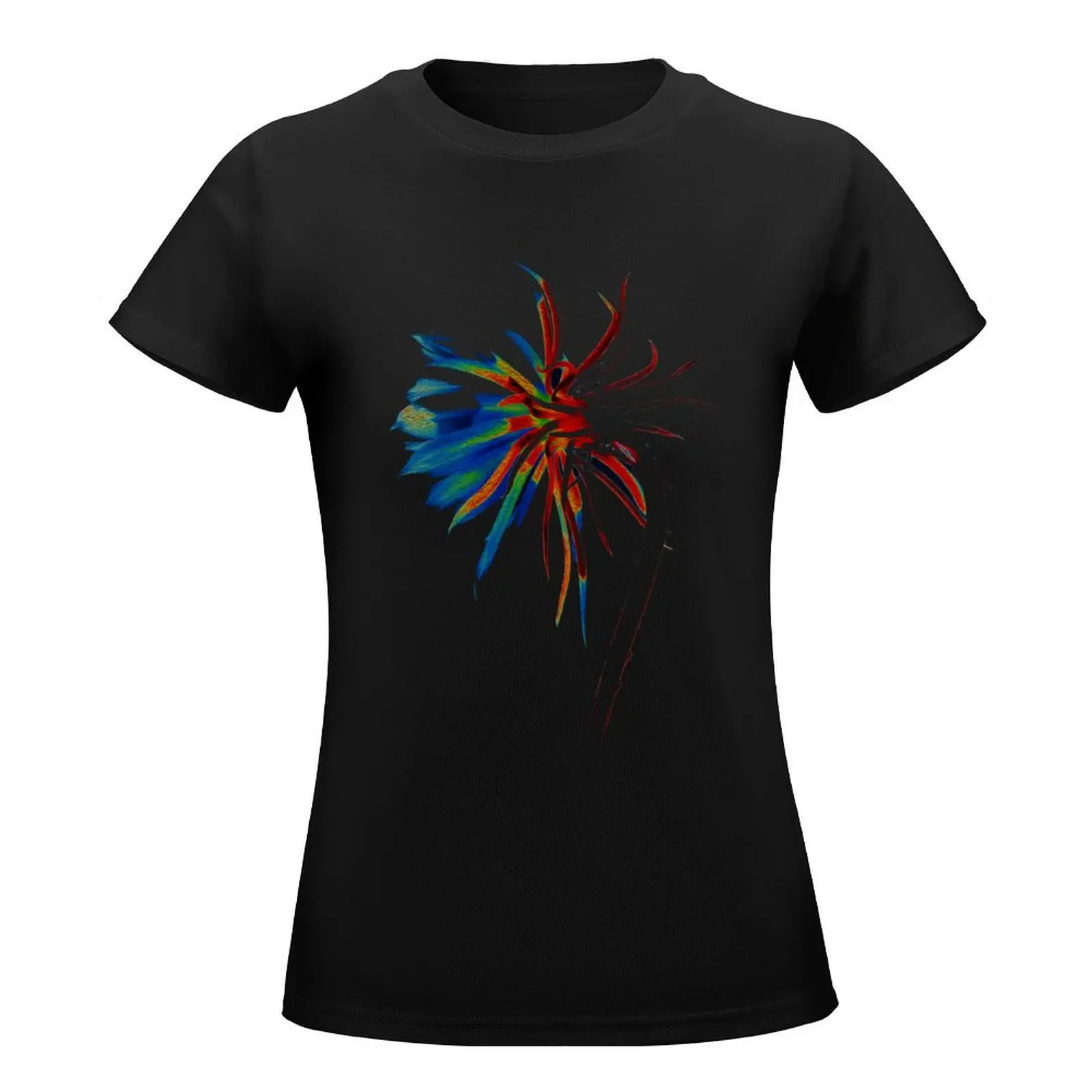 Midnight Rainbow T-Shirt cute clothes lady clothes Women's t-shirt