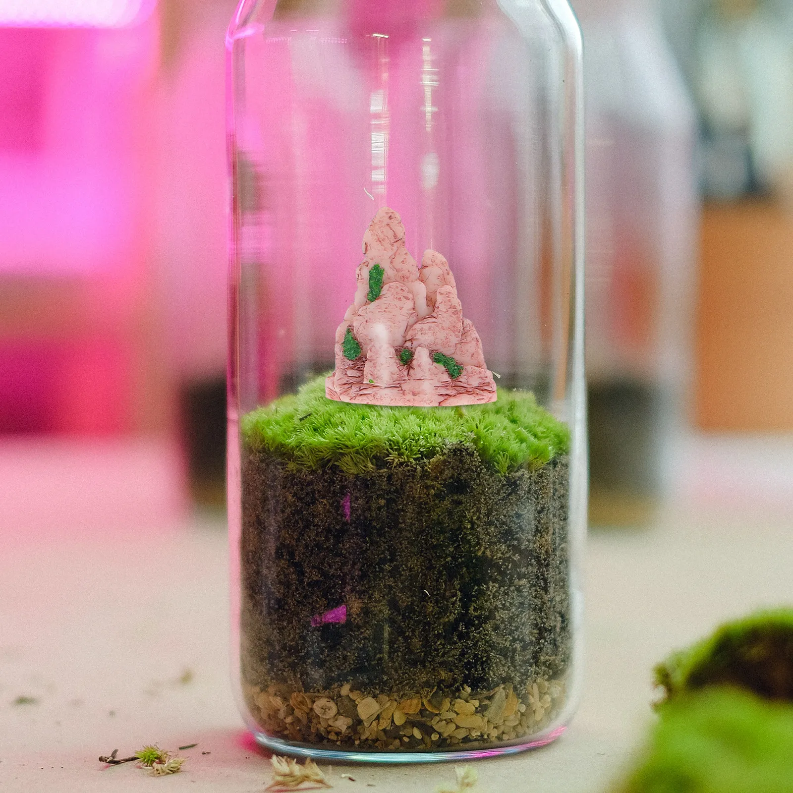 4Pcs Exquisite Resin Mini Bons - огляд і ціна Bonsai Garden Home