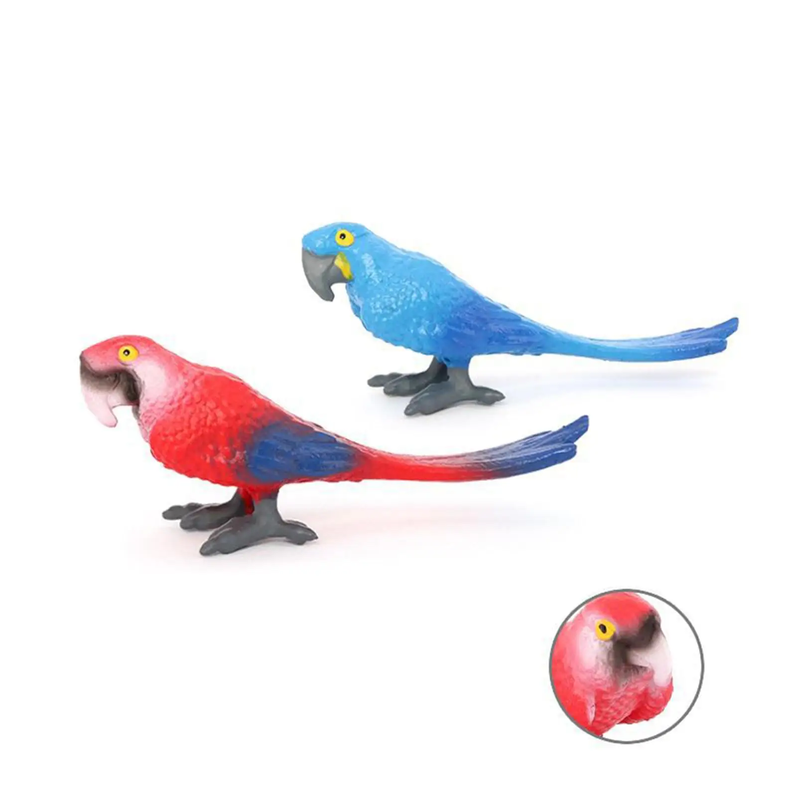 

Simulation Parrot Figurine Sculpture Educational Toy, Miniature Animal Model,