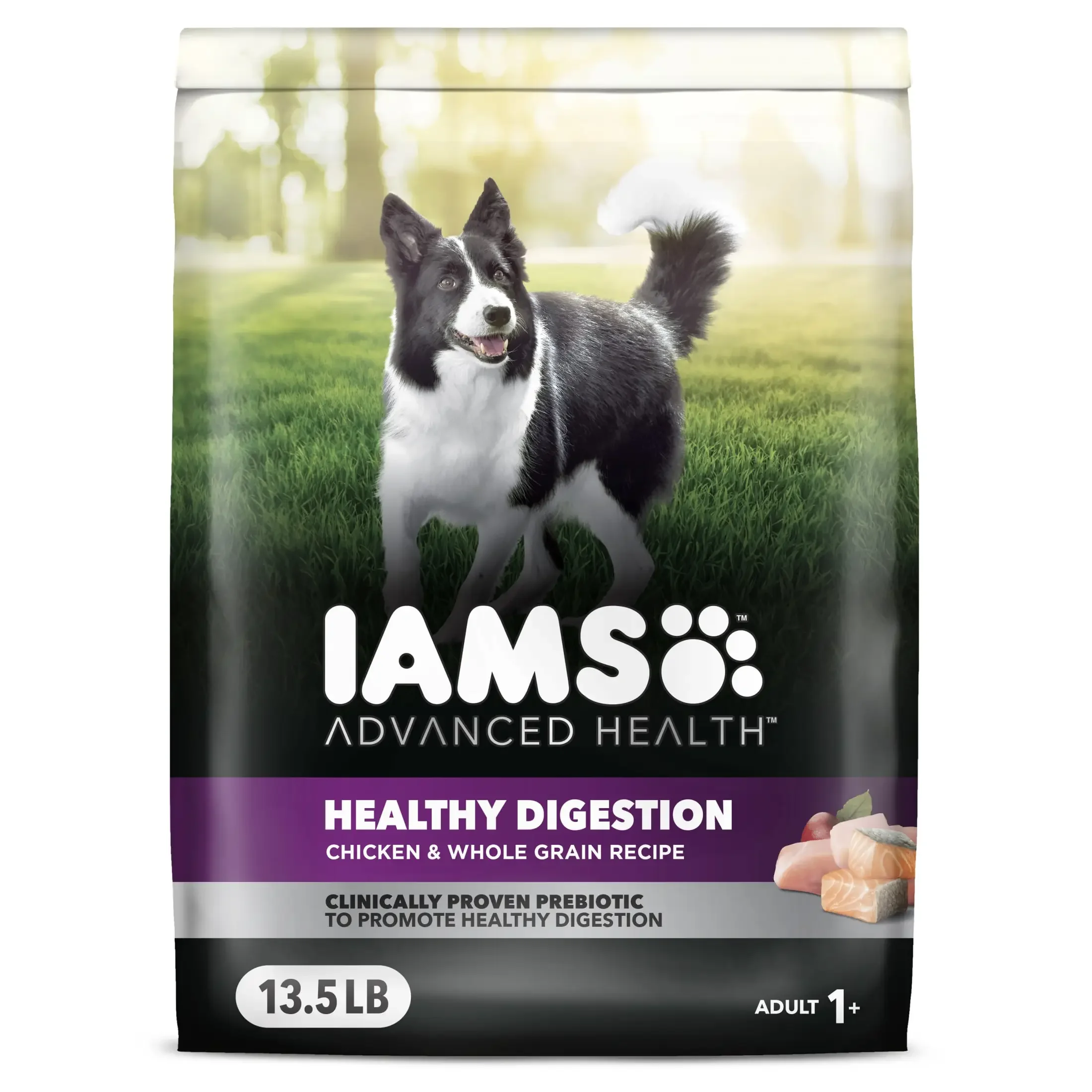 Advanced Health Digestion Support Dry Dog Food with Real Chicken for Adult Dogs 13.5 Lb Bag